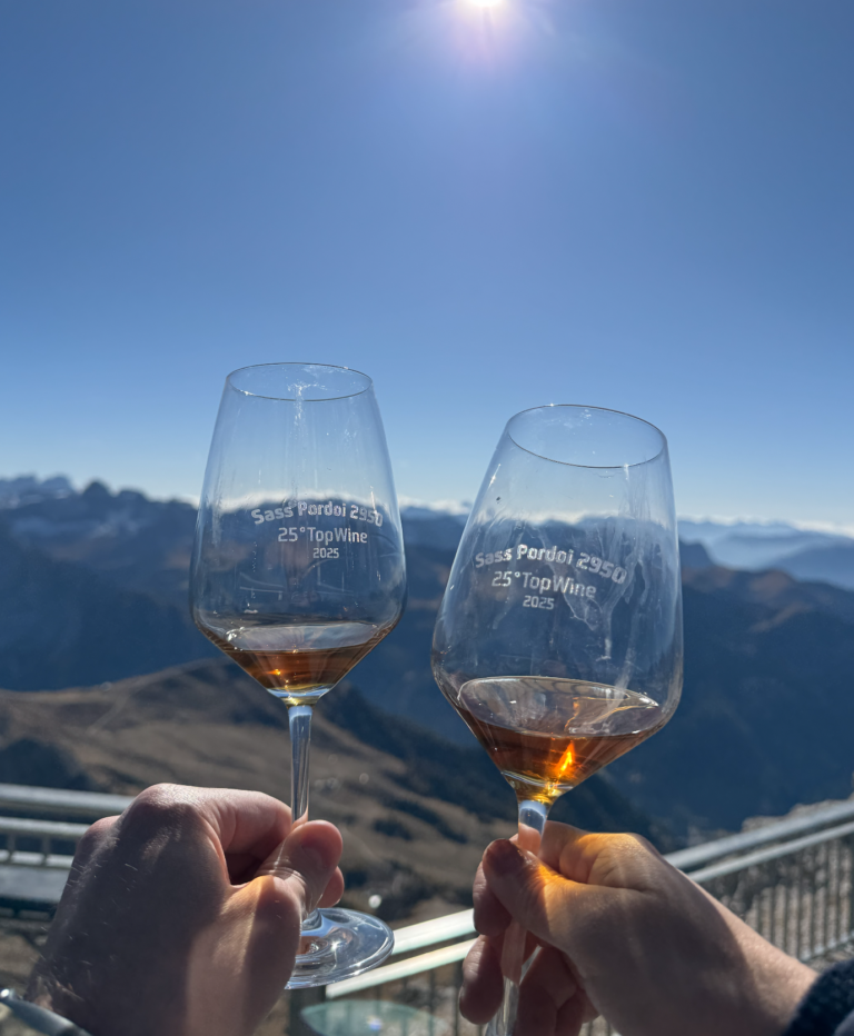 calici di vino con vista sulle dolomiti